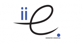 Logo: IDGP IEE